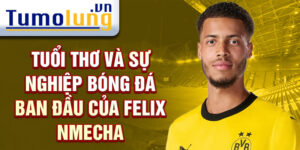 Tuổi thơ và sự nghiệp bóng đá ban đầu của felix nmecha