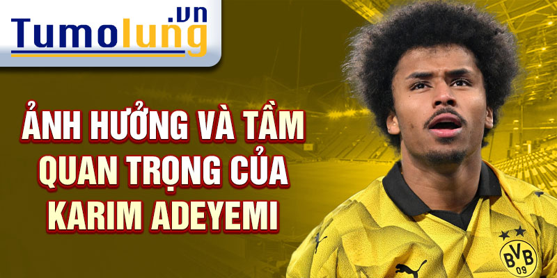 Ảnh hưởng và tầm quan trọng của Karim Adeyemi