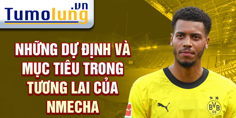 Những dự định và mục tiêu trong tương lai của Nmecha