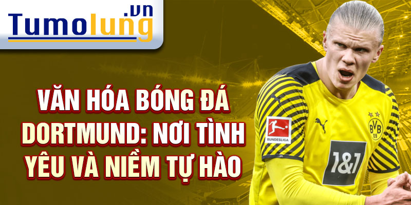 Văn hóa bóng đá Dortmund: Nơi tình yêu và niềm tự hào