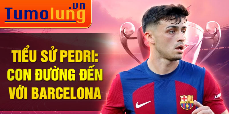 Tiểu sử pedri: con đường đến với barcelona