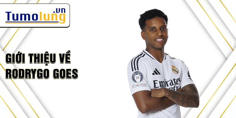 Giới thiệu về rodrygo goes