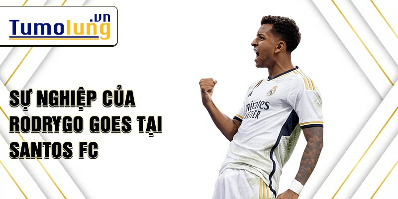 Sự nghiệp của Rodrygo Goes tại Santos FC